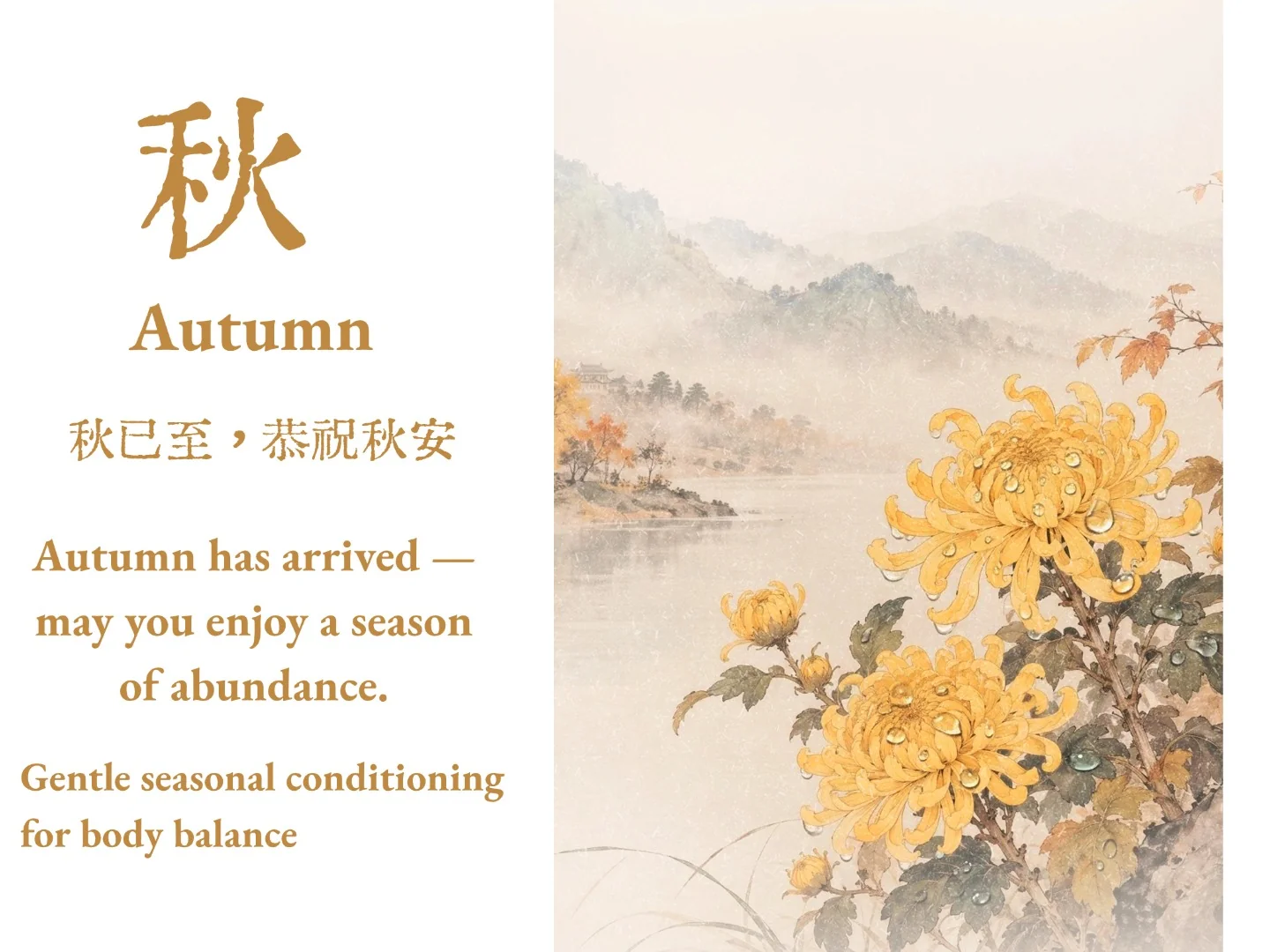 秋 · 国风节气海报:姜黄字“秋”与秋菊山水